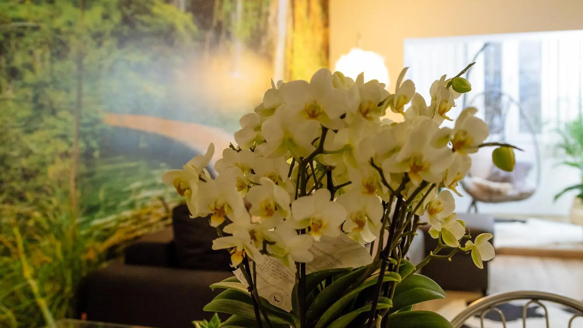 Zen Life Luxury Apartment - Herastrau Bukarest